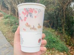-茶颜悦色(岳麓山顶店)