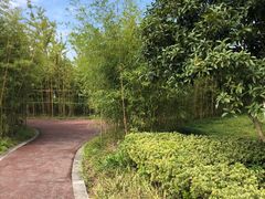 -院士公园