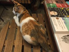 -看书吧(体育东横路店)