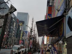 -秋叶原电器街