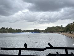 -海德公园