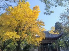 -汇龙潭