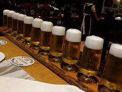 一米啤酒唯森扎啤翘杯-兰特伯爵西餐厅·啤酒屋(方庄店)