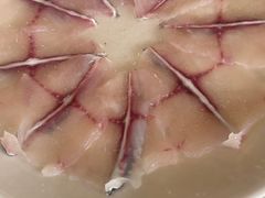 -活鱼馆(宜兴埠店)