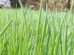 -碓臼峪自然风景区