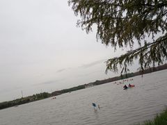 -上海海湾国家森林公园