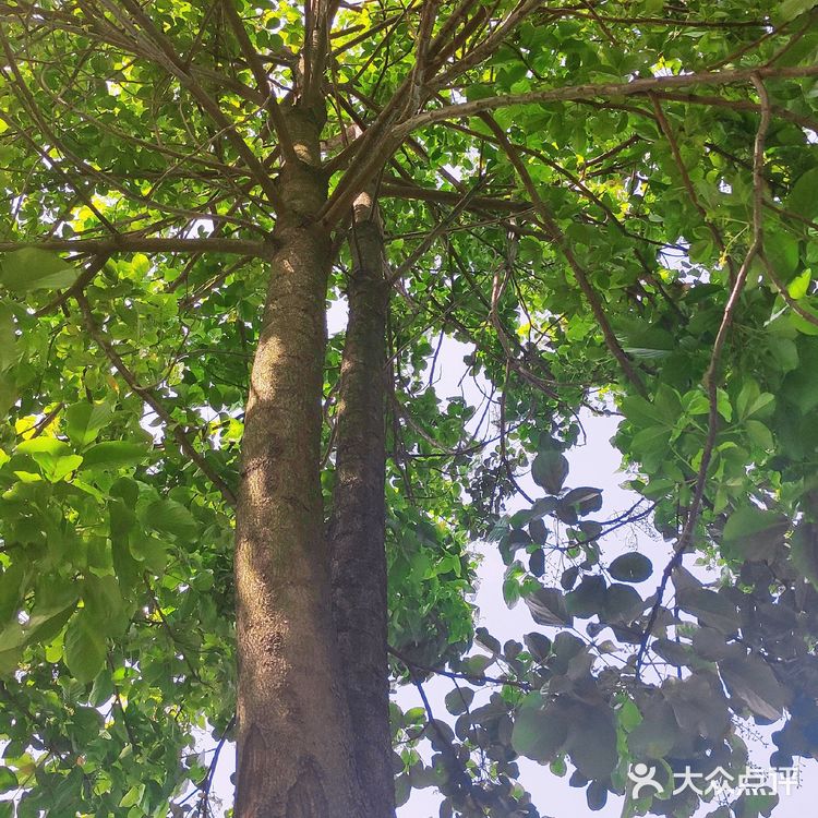 怒放的生命｜矗立在彩虹之巅🌈