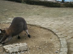 -武汉紫薇都市田园