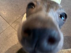 -Living Kitchen团建·厨艺派对空间(国贸店)