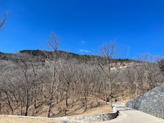 -北京西山国家森林公园