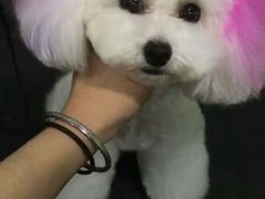 -沐沐家宠物(成寿寺店)