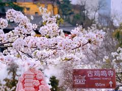 -鸡鸣寺