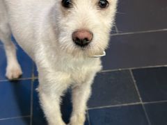 -土连锅·现熬养生汤锅(梁家巷店)