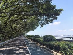 -大湾区中央湿地公园