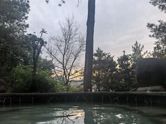 -唐风温泉