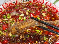 -欧记大排档·景德菜(上海首店)