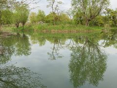 -梁鸿国家湿地公园