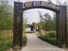 -上海长兴岛郊野公园