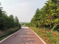 -迪茵湖田家舍生态农场