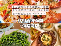 -椰梦长廊