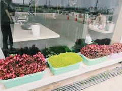 -港畔赶海蒸汽海鲜烧烤自助(仙螺岛店)