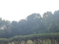 -龙头寺公园