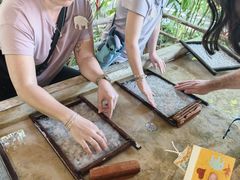 -大象粑粑造纸公园