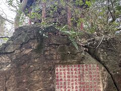 -乌山风景区