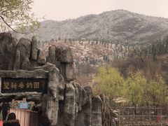 -双新垂钓园