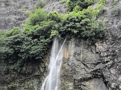 -上海辰山植物园