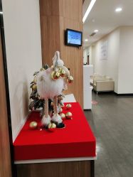 -上海玫瑰医疗美容医院