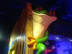 -蛙来哒(万豪城市广场黑金冠店)