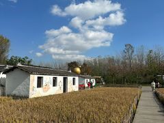 -溱湖国家湿地公园