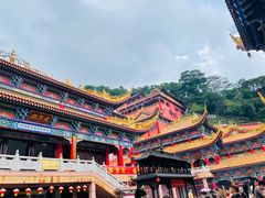 -东莞市大岭山森林公园