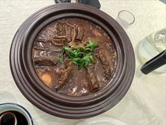 -丁老爷子苏香圆