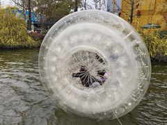 -南湖梦幻岛
