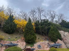 -棒棰岛宾馆景区