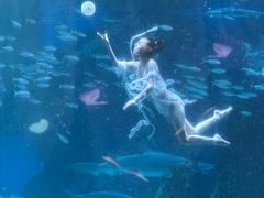 -海合安成都极地海洋公园