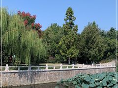 -水绘园