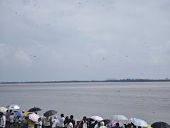 -观潮胜地公园
