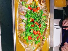 -老板恋上鱼(印象城店)