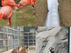 -济南野生动物世界