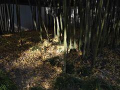 -秋霞圃
