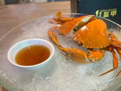 -红盔甲·小龙虾(车公庙店)
