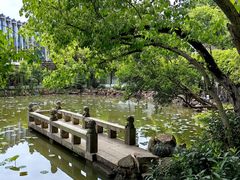 -上海醉白池公园