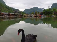 -中国傩城
