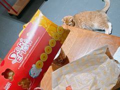 -麦当劳(西单明珠店)