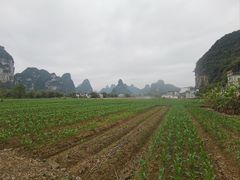 -明仕田园