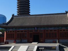 -西海子公园