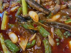 -双流老字号董蹄花(广场路店)